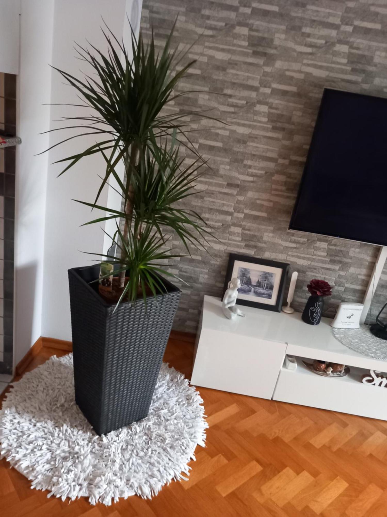 Apartman Petra Apartman Palit Kültér fotó